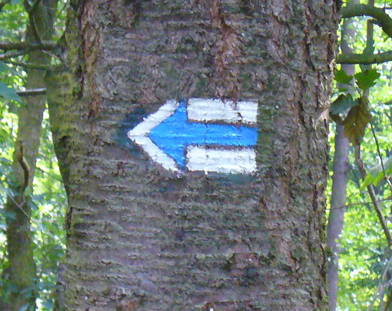 A waymark concept diagram showing how waymarks work